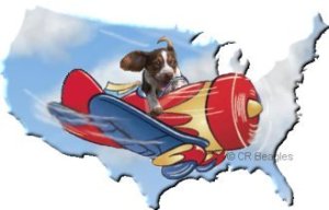 airplane_puppy_us