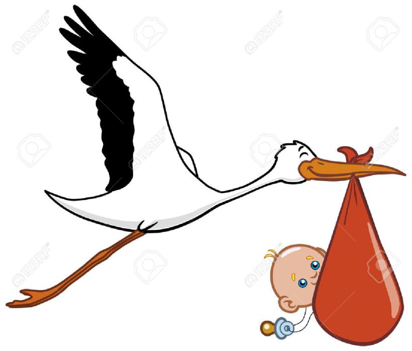 stork-and-newborn-baby-cartoon
