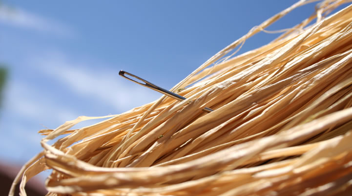 Needle-in-a-haystack